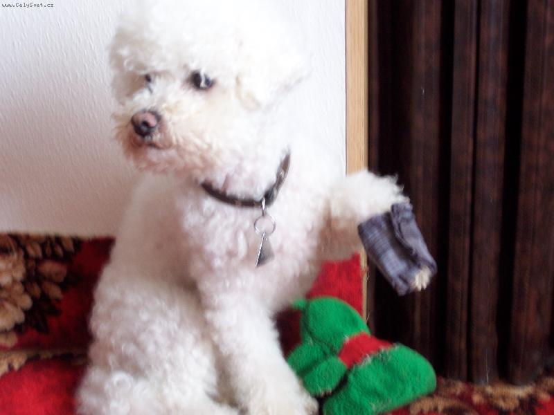 Foto: mil��ek rodiny-jsem mar�dek