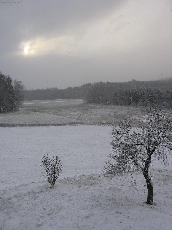 Foto: strom v zimě-krajina