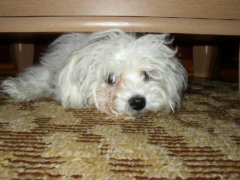 Foto: zora-�e m� nenajde�!