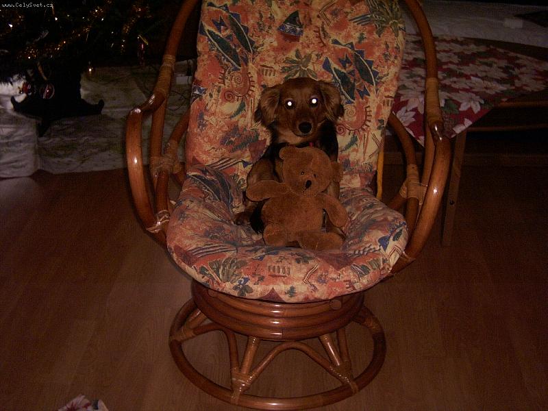 Foto: Tak uz to zmackni-Takova hodna pejska