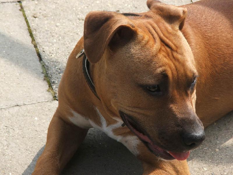 Foto: Spainek-j� chci taky