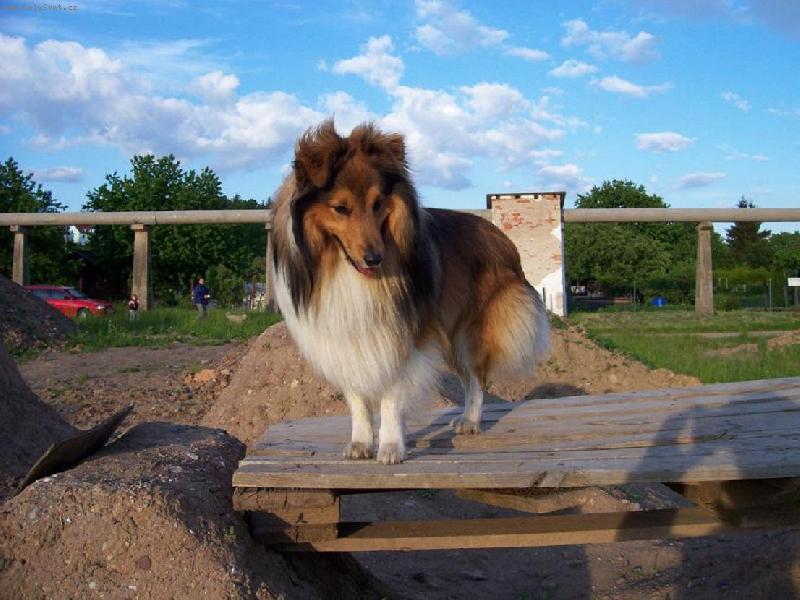 Foto: Vyhl�dka-French vyhl�� sv�ho kamar�da