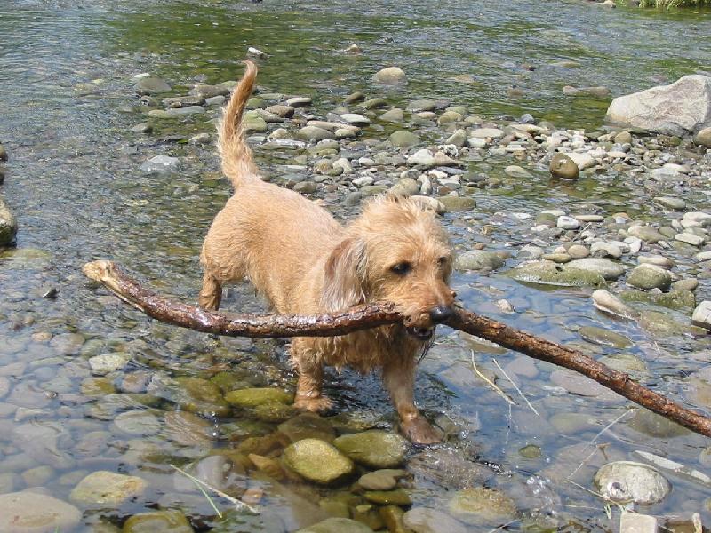 Foto: Na velikosti nez�le��...-Ale ��m v�t�� klacek, t�m lep��