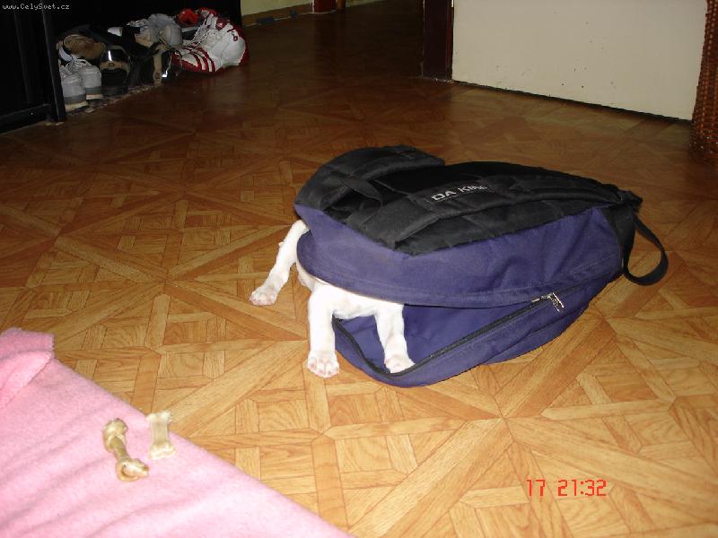 Foto: Batoh s no�i�kama :o)