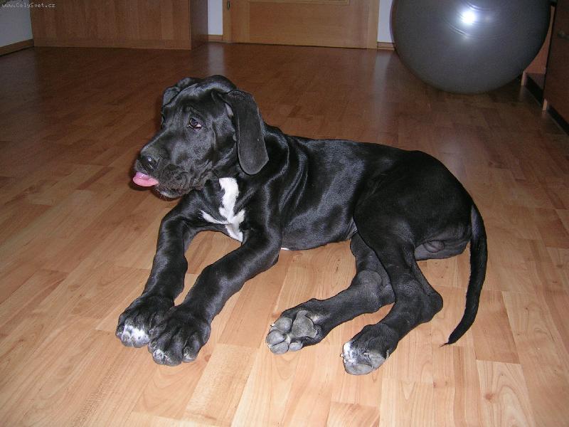 Foto: Samuel-tuuuudle :o)