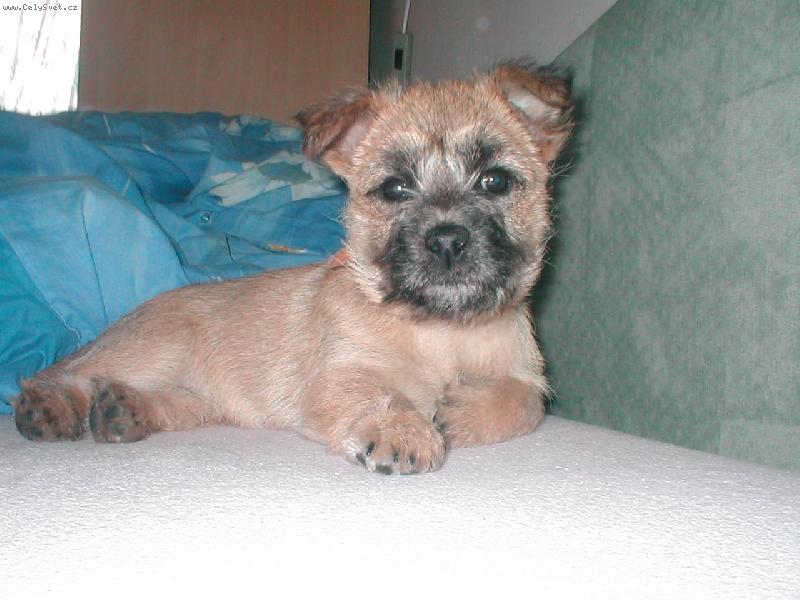 Foto: Odpo��vaj�c� lady (�ti lejdy)-Takto honosn� odpo��v� na�e �t���tko