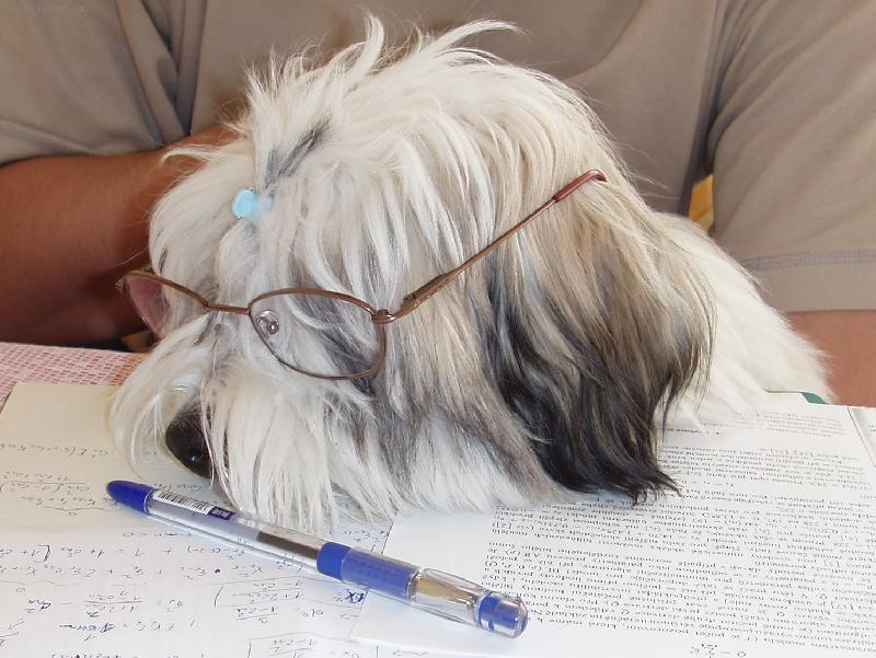 Foto: V�dec-Nojo, co s t�m, co s t�m.