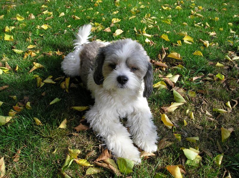 Foto: Ne, nejsem ply�ov�.. :-)