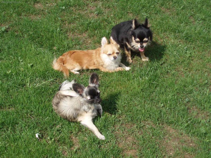 Foto: na�i mil��ci