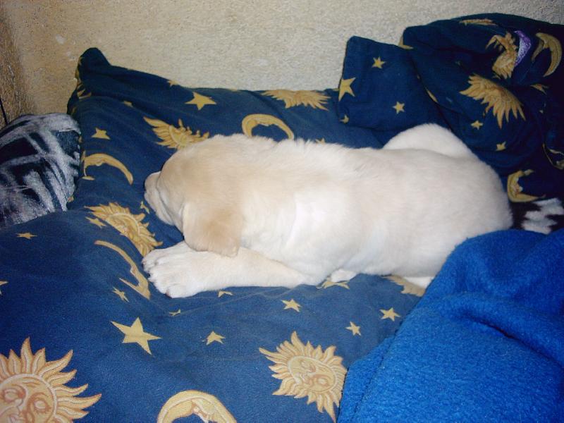 Foto: kone�n� sama