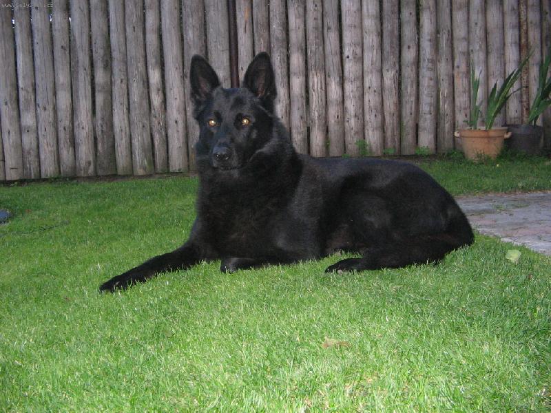 Foto: Ron-Tady hl�d�m j�