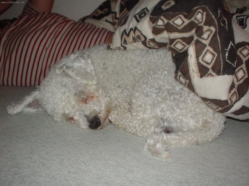 Foto: spink�m, neru�it!-spink�m, neru�it!