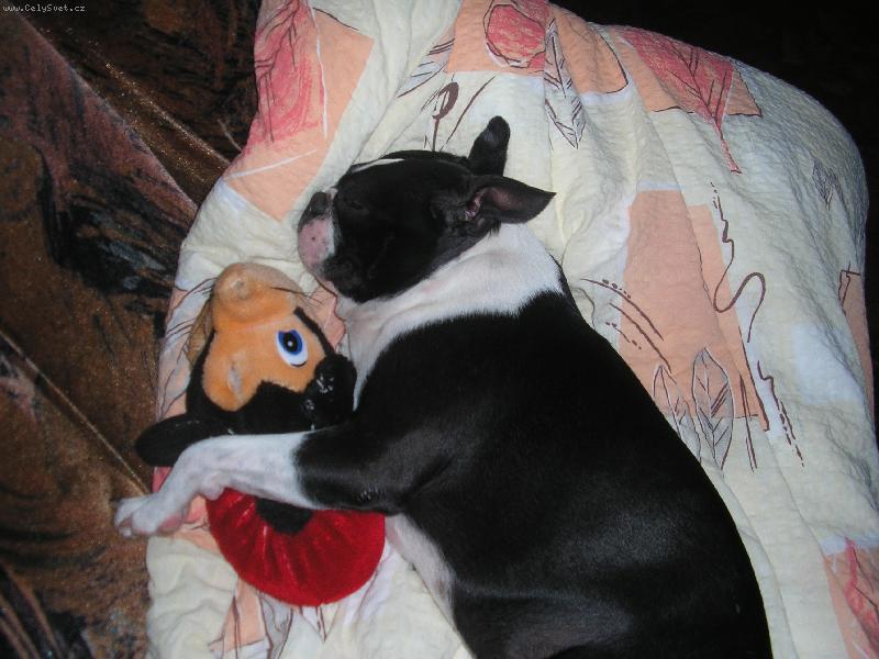 Foto: Ospinkan� miminko