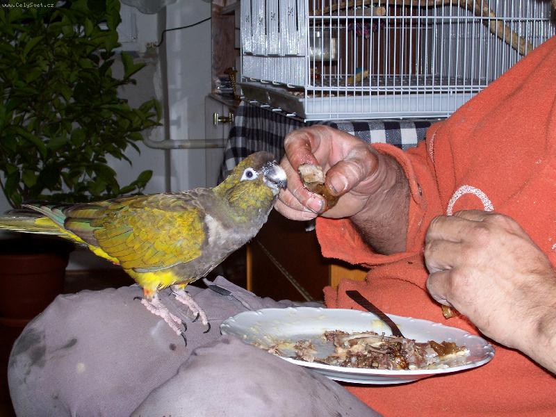 Foto: Ve�e�e..-...uka�?Copak to m� dobr�ho?