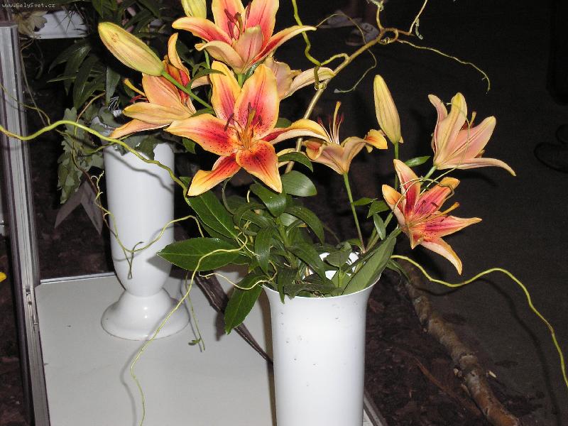 Foto: krasna v�n�