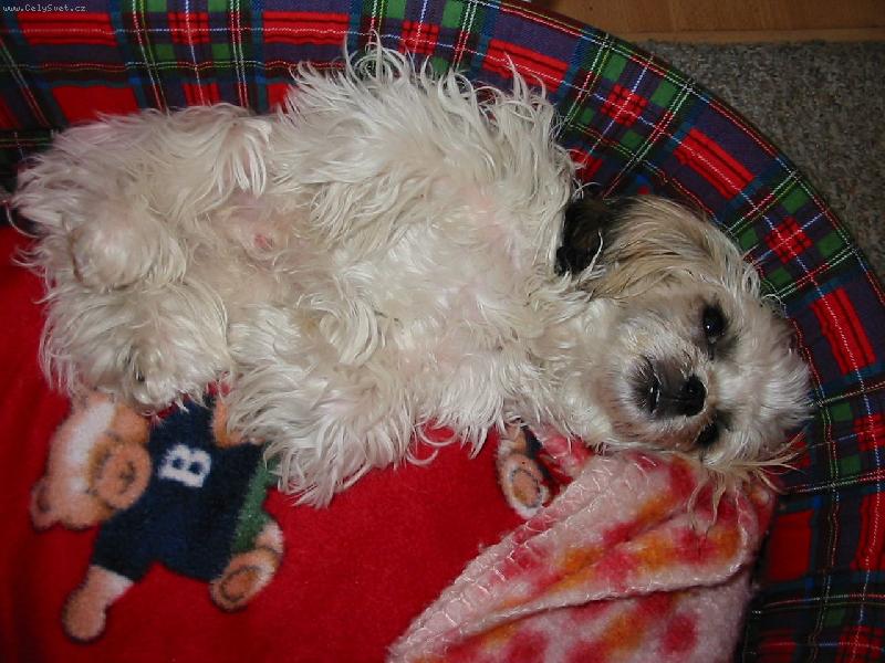 Foto: Kdy� je teplo-Kdy� je moc teplo