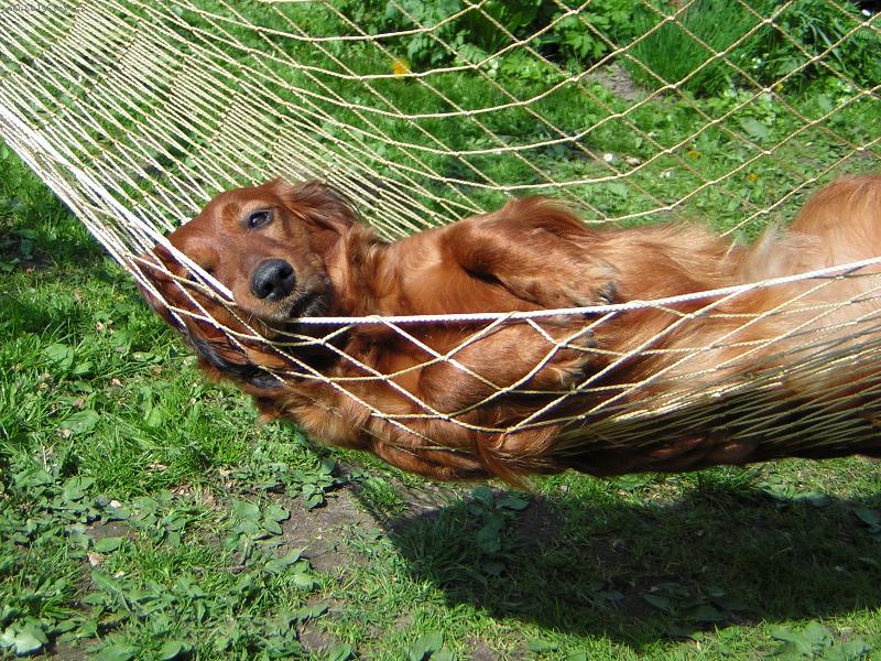 Foto: Na�e Betty-To je pohoda