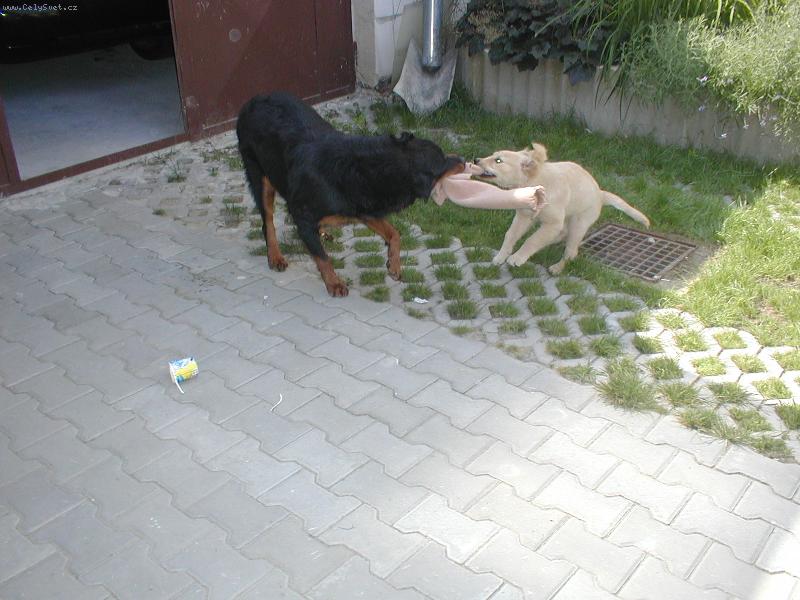 Foto: Sany + Megy-To je ale moje ��la....ne to je moje.......ne moje...