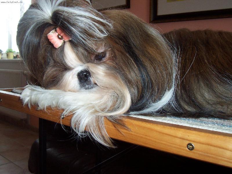 Foto: Jsem tro�ku unaven�-m�j mil��ek