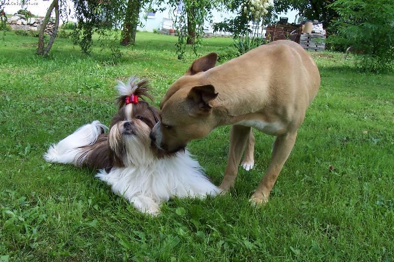 Foto: k princezn�m se ne�uch�