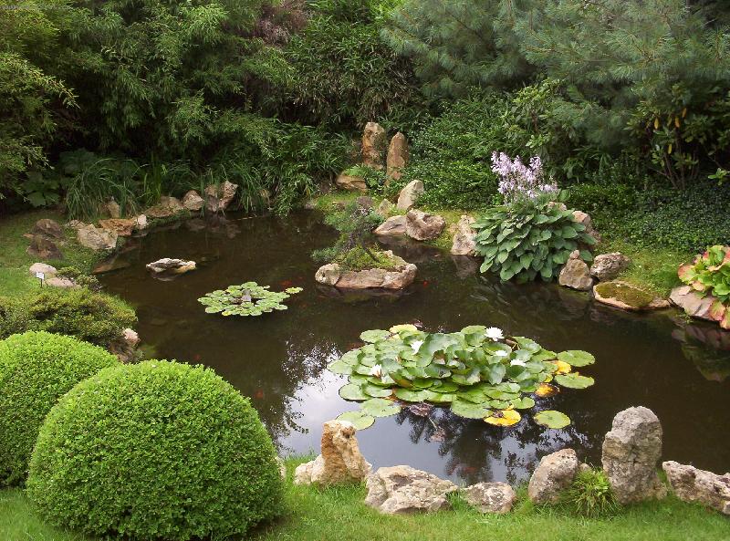 Foto: Na skok v Japonsku-Japonsk� zahrada v Botanick� zahrad� Praha