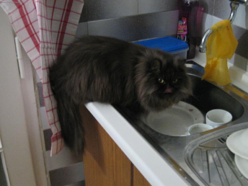 Foto: Myjeme nádobí