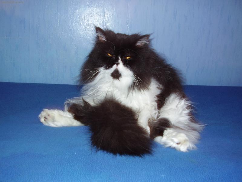 Foto: Rann� o�istec