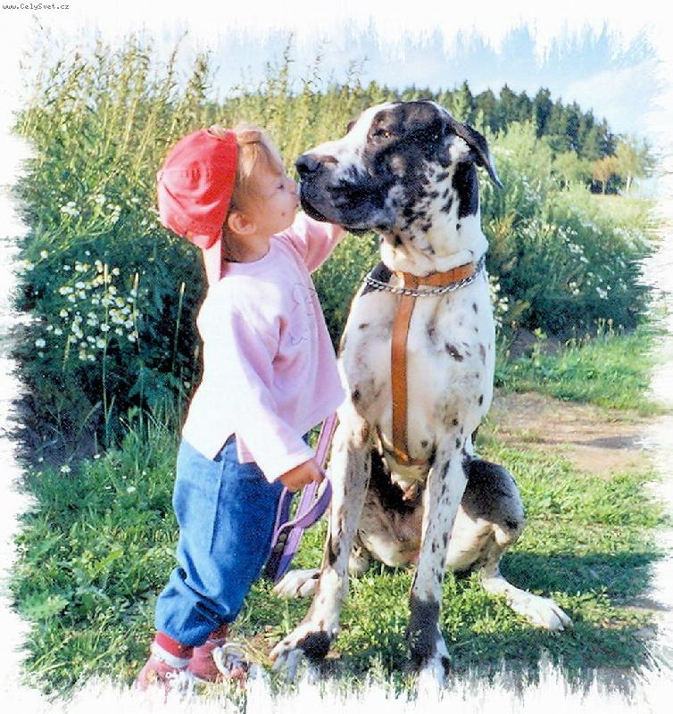 Foto: Mal� pusa po v�cviku