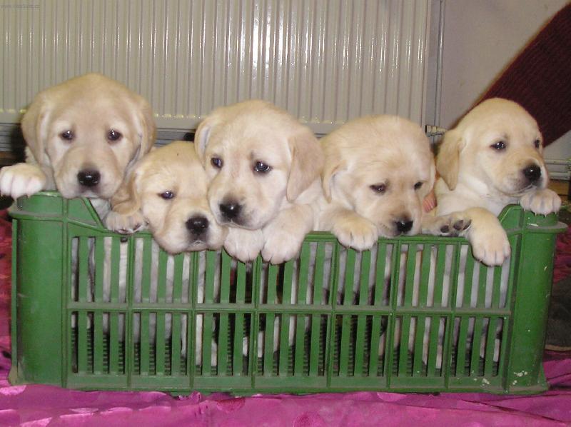 Foto: Bylo n�s p�t