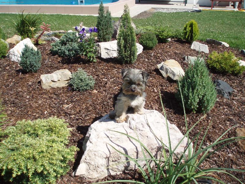 Foto: Baru�ka-na skslce