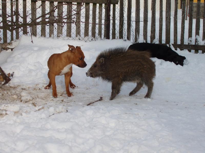 Foto: nejlep�� k�mo�i-to by m� zaj�malo kter� z n�s je �un�k