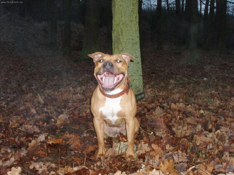 Foto: Sm�ch od srdce-Kdo se sm�je na posled ten se sm�je .....