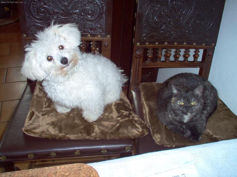 Foto: Na�e holky-Jul�a a Zuza-Tak kdy bude ten ob�d?