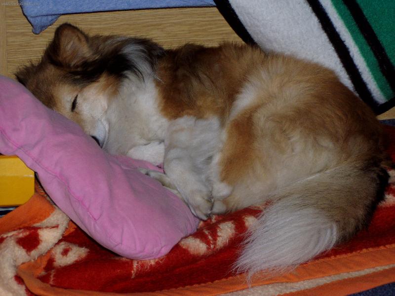 Foto: vlastn� postel