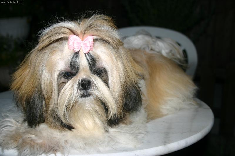 Foto: Baronesse Robin Hood-Nase Baronka