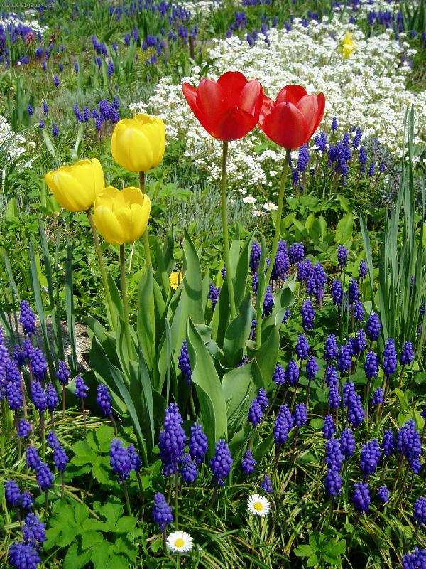 Foto: na�e zahr�dka-na�e zahr�dka