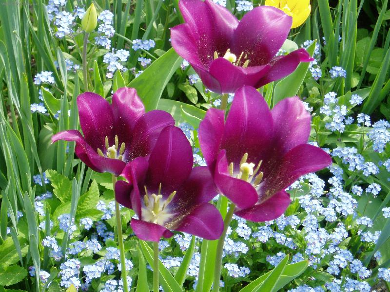 Foto: jarn� zahr�dka