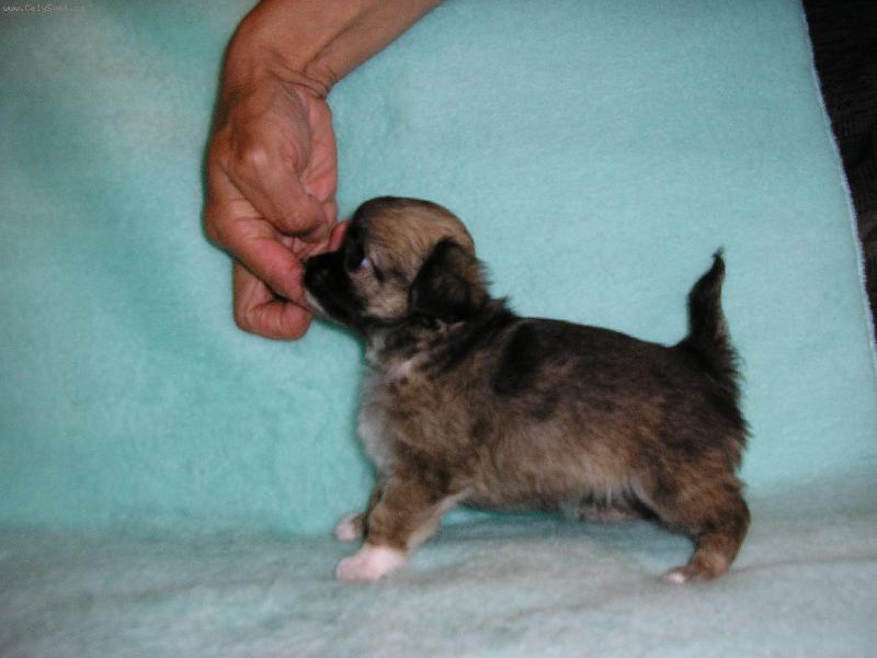 Foto: Holka, tr�nuj !!!