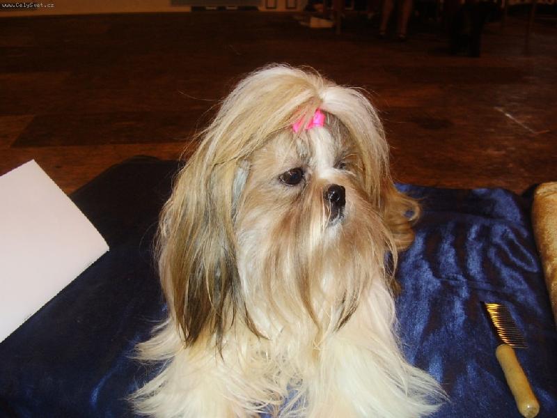 Foto: Kam jste zase v�ichni �li?