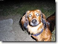 M��u jsi sv�tit,ani� bych pot�eboval baterku