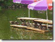 m��eme si p�isednout?