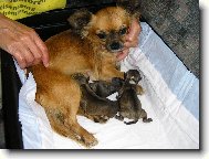 Tak, a jsme na sv�t� v�ichni !!!