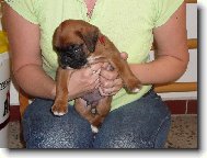 Na�e nov� miminko