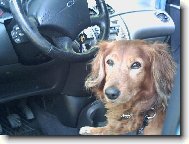 Te� u� m� neujedou