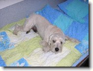 To se to bude sp�t !