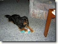 Jenny a jej� obl�ben� hra�ka