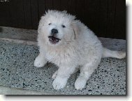 a� to tady je�t� tak n�jak nevypad�, dneska jsem u� kr�sn� �uva� :-)