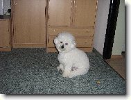 Tak tohle je n� mil��ek...Billy:))