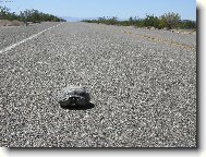 kl�dek..jdu jak nejrychleji um�m