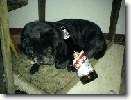 Ted�k a Gamb��